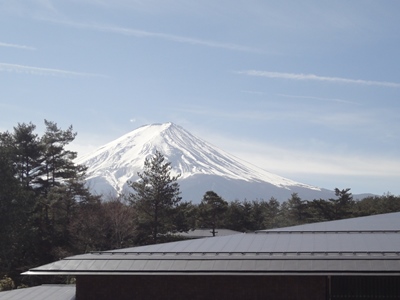 富士山世界遺産センター (6).JPG
