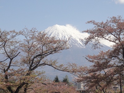 富士山本宮浅間神社 (3).JPG