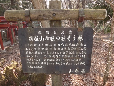 新屋山神社 (7).JPG