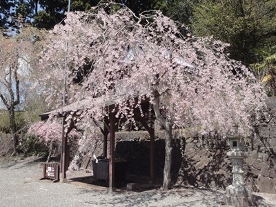 村山浅間神社 (9).JPG