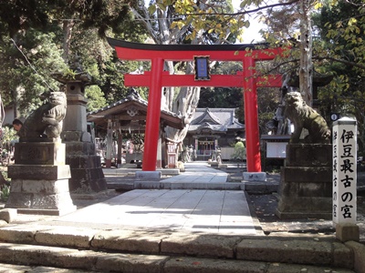 白浜神社 (1).JPG