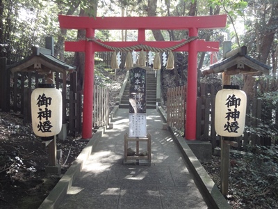 白浜神社 (7).JPG