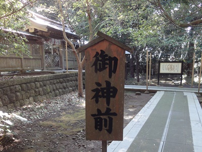 白浜神社 (8).JPG