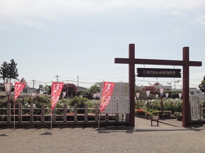 箭弓神社 (6).JPG